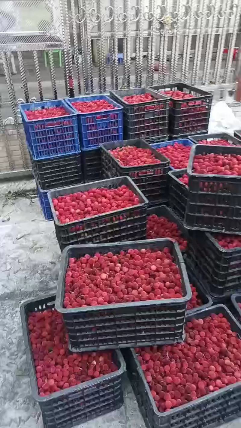 广东杨梅冰梅工厂榨汁梅罐头梅大量现货供应