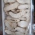 云南野生菌：松耸，黑松露，牛肝菌等