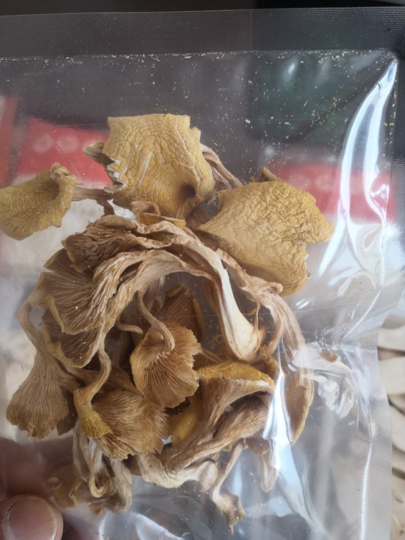 云南野生菌：松耸，黑松露，牛肝菌等