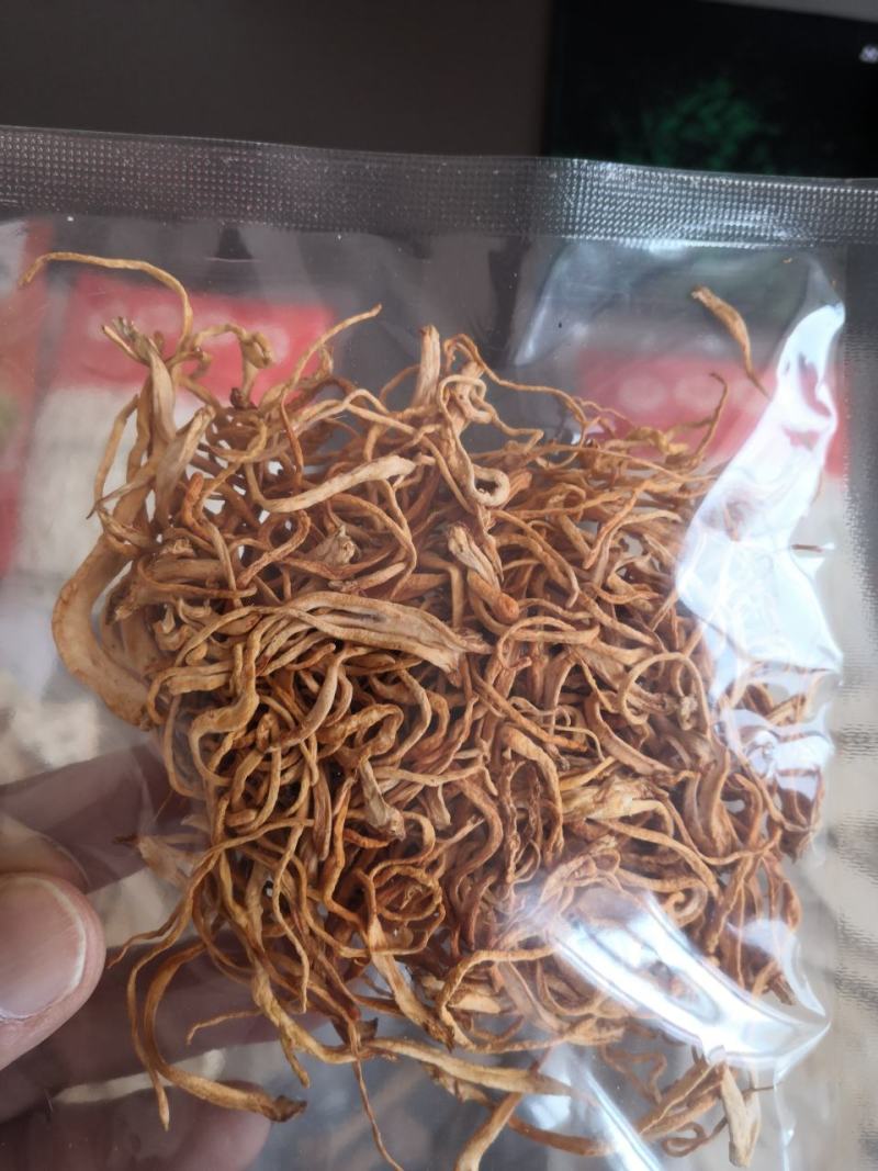 云南野生菌：松耸，黑松露，牛肝菌等