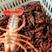 兴化市龙虾，蟹塘虾，敢与任何地方的虾比质量比肉质比发货死