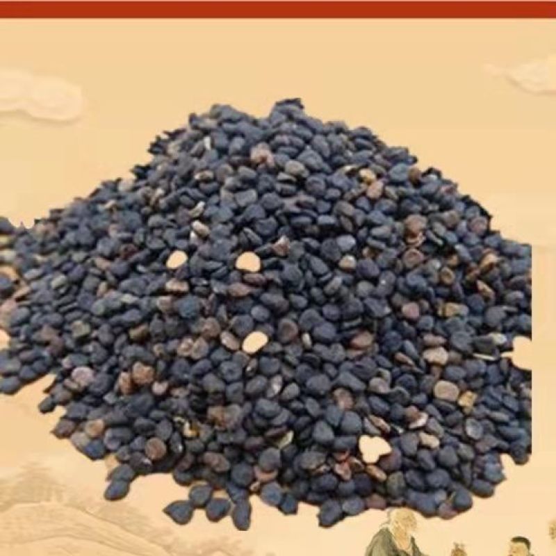 中药材曼陀罗籽醉葡萄天茄子胡茄子风茄果中药籽包邮