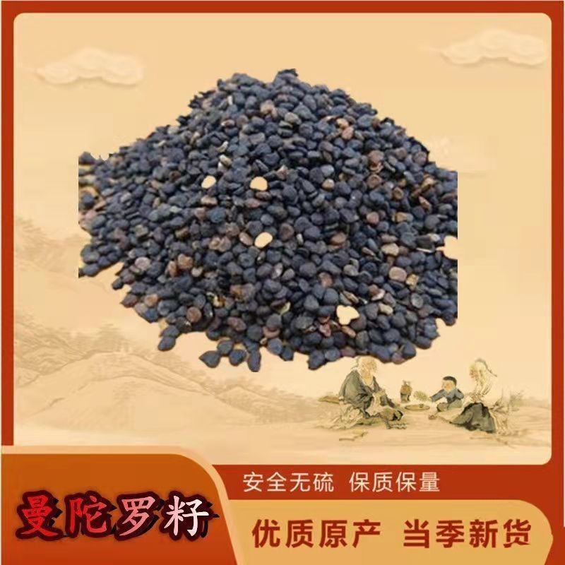 中药材曼陀罗籽醉葡萄天茄子胡茄子风茄果中药籽包邮