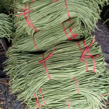 豆角今天价格2块左右