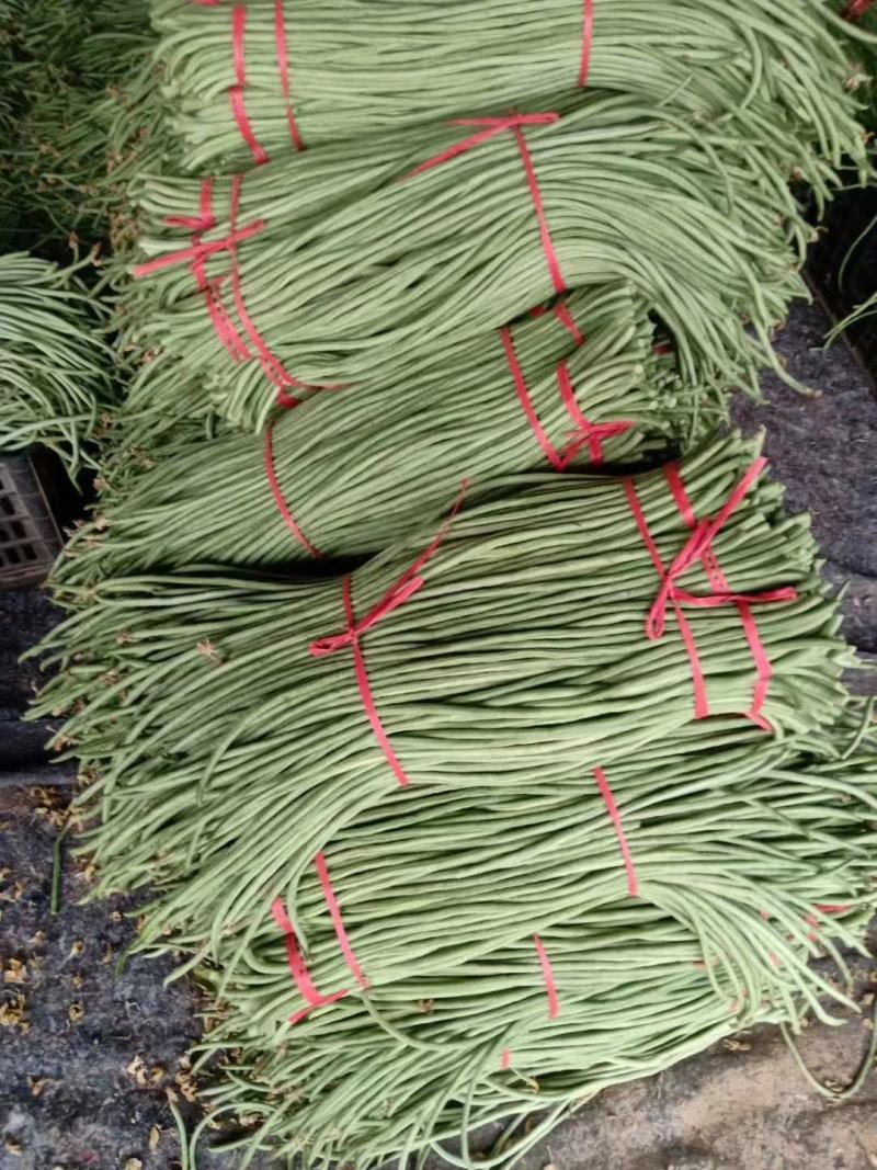 豆角今天价格2块左右