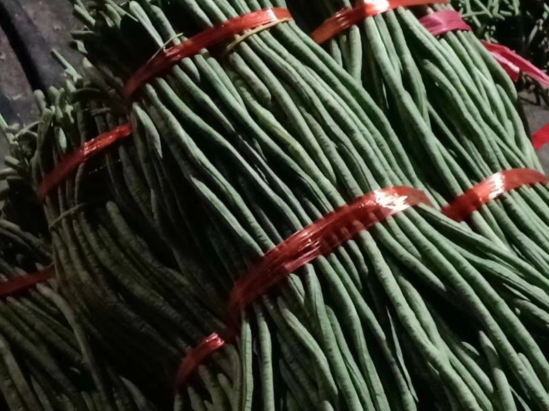 豆角今天价格2块左右