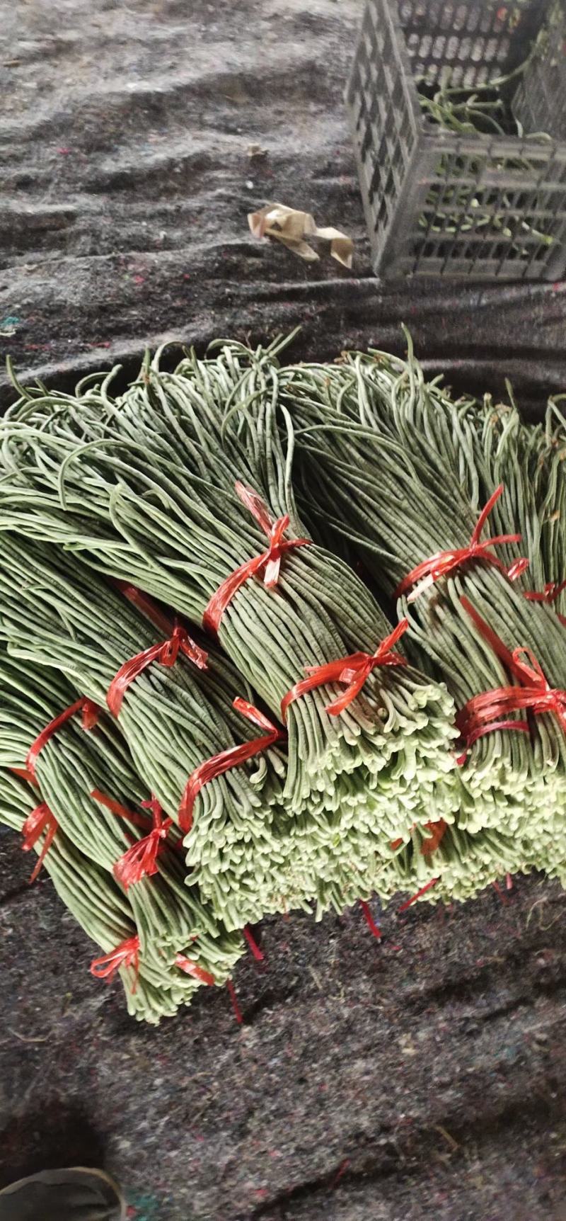 豆角今天价格2块左右