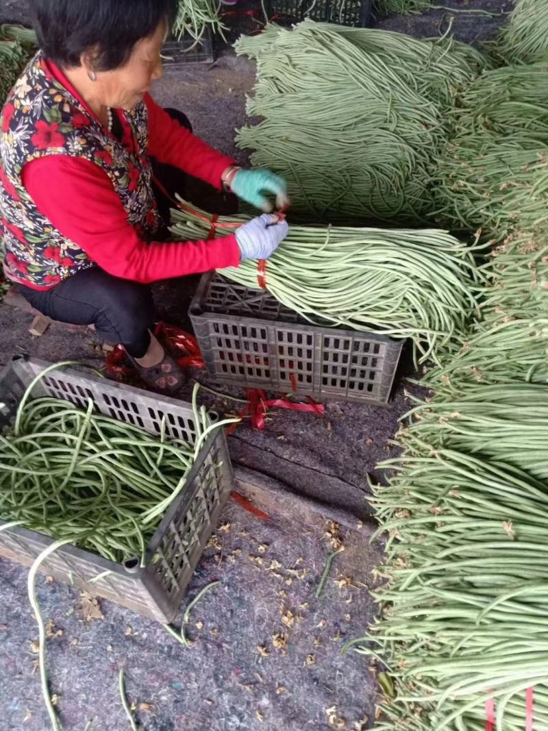 豆角今天价格2块左右