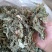 苋菜干苋菜干农家菜自产自销量大从优，欢迎来电咨询