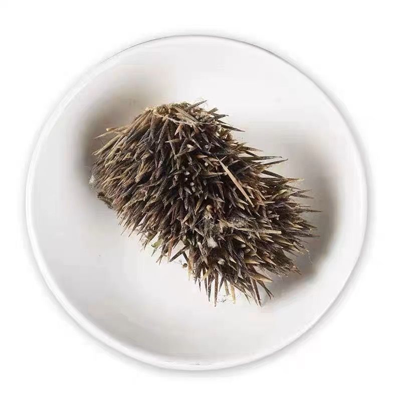 炒**皮中药材**皮块炙**皮**皮猥皮仙人衣