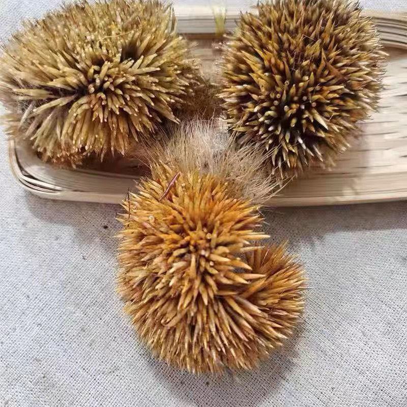 炒**皮中药材**皮块炙**皮**皮猥皮仙人衣