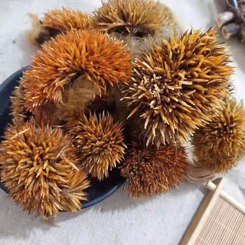 炒**皮中药材**皮块炙**皮**皮猥皮仙人衣