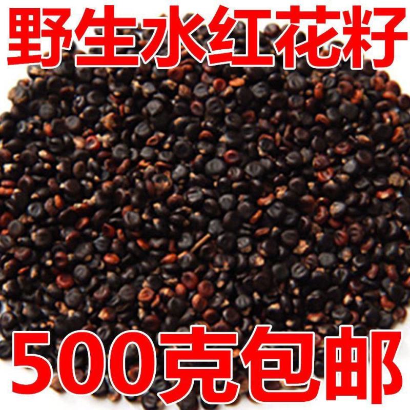 水红花籽中药材荭草实水荭实水荭籽粉水红花子中药泡水中药材