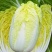 黄心大娃娃菜1.5-3斤