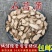 石菖蒲菖蒲批发石菖蒲九节菖蒲野生野生无硫散装