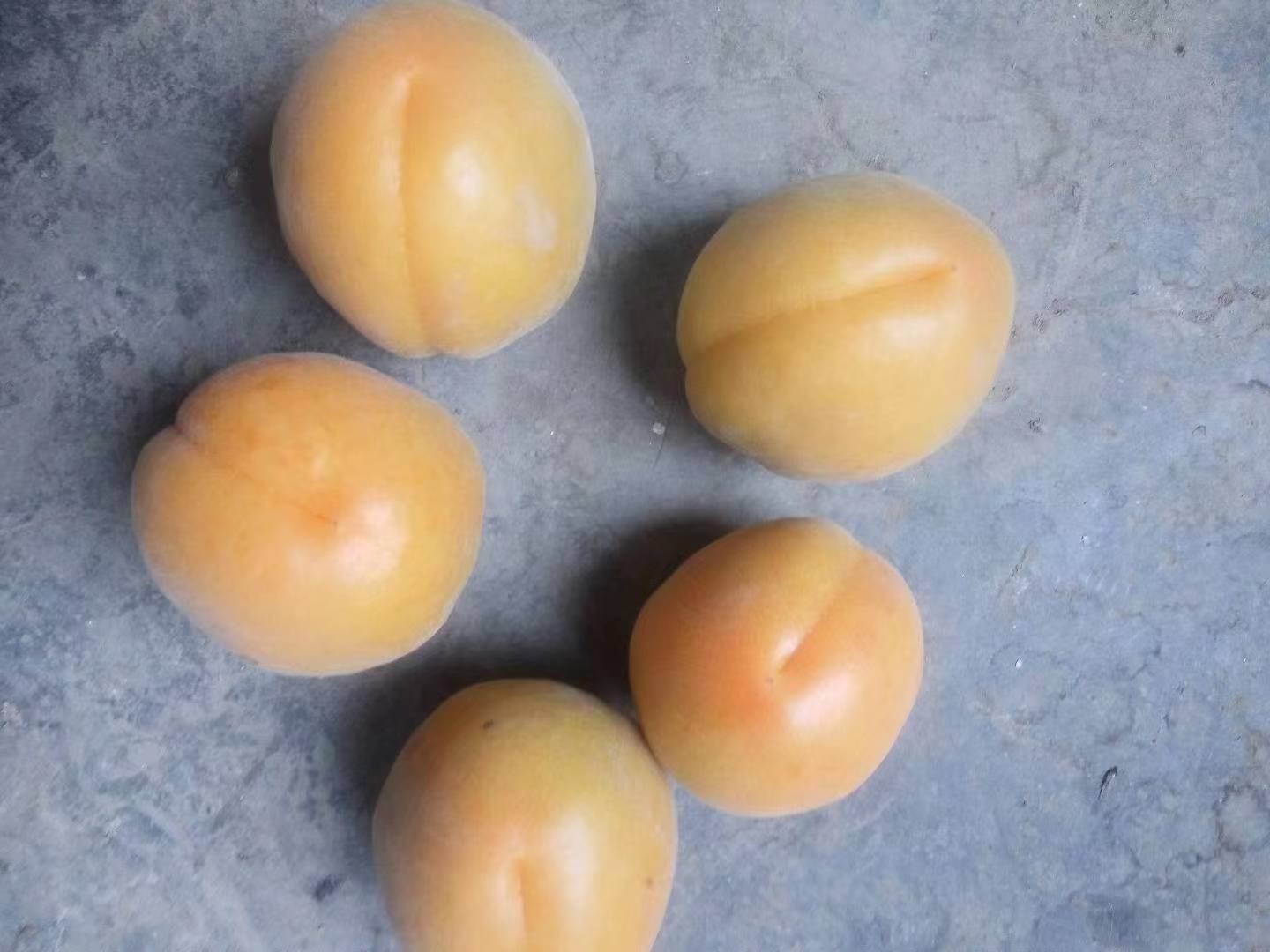 金太阳杏制作果酱的过程图