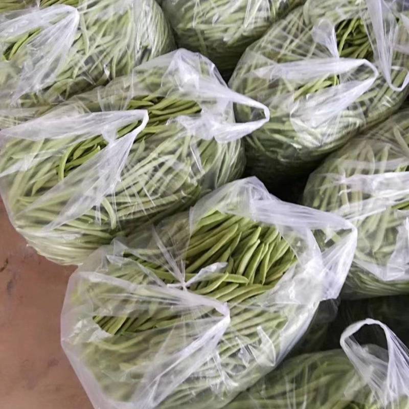 精品四季豆大量出货，品质好，支持电商超市市场，大量供应