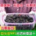 新货桑葚干无沙桑葚食用泡酒泡茶桑葚干免洗食用