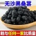 新货桑葚干无沙桑葚食用泡酒泡茶桑葚干免洗食用