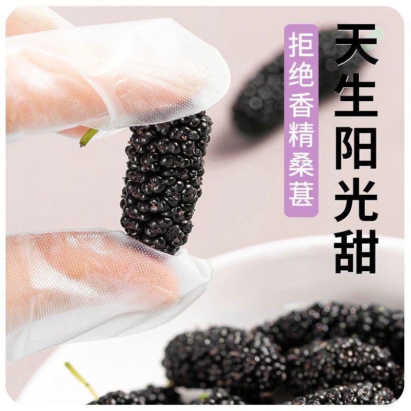 新货桑葚干无沙桑葚食用泡酒泡茶桑葚干免洗食用