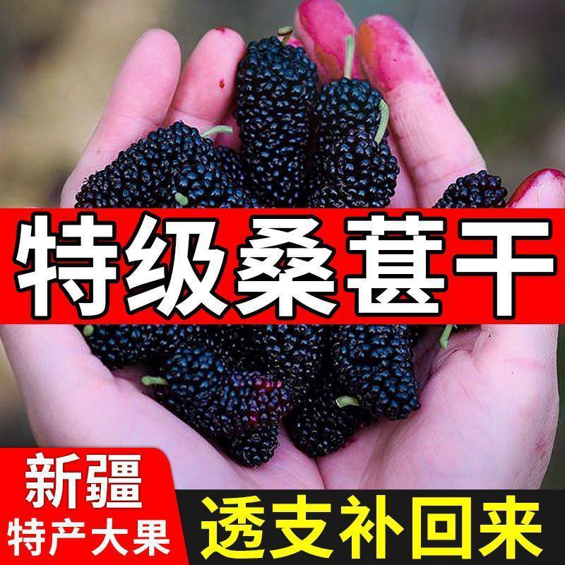 新货桑葚干无沙桑葚食用泡酒泡茶桑葚干免洗食用