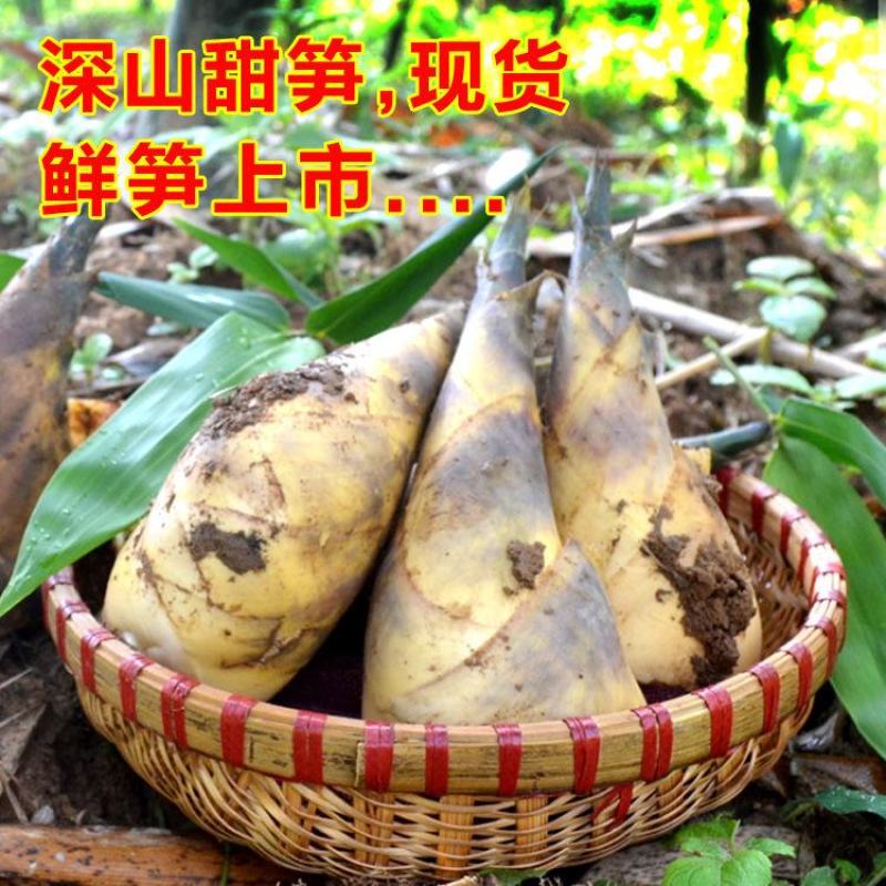 漳浦黄金马蹄笋专业合作社，有需要可以合作