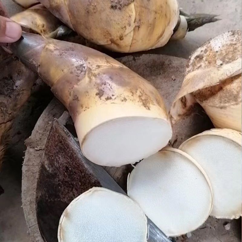漳浦黄金马蹄笋专业合作社，有需要可以合作