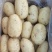 【精品】山东土豆荷兰十五，一手货源，全国发货，量大从优