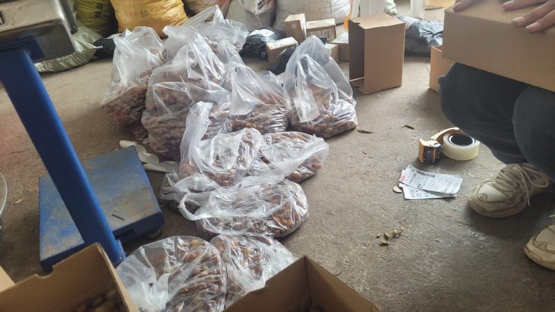 深山石黄皮凤凰蛋化狗儿肾结果