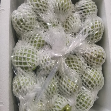 福建当季水果番石榴西瓜红心芭乐白芭乐商超果社区团购