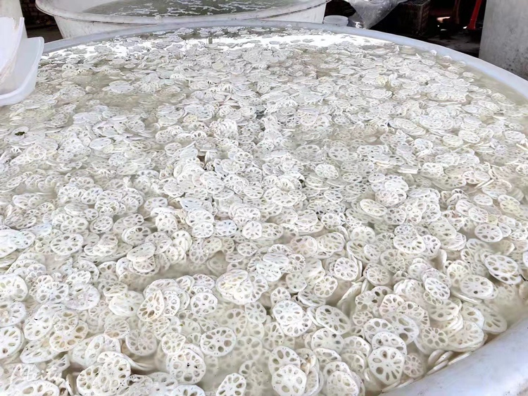 莲藕丝瓜预处理对比图：左侧为刚去皮浸盐醋水的洁白莲藕片，右侧为清水冲洗后沥干的翠绿丝瓜滚刀块，背景有不锈钢刮刀、玻璃碗盛淡盐水、厨房纸巾