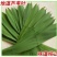 芦苇叶…湖南洞庭湖畔优质芦苇叶,当日现摘预冷发货