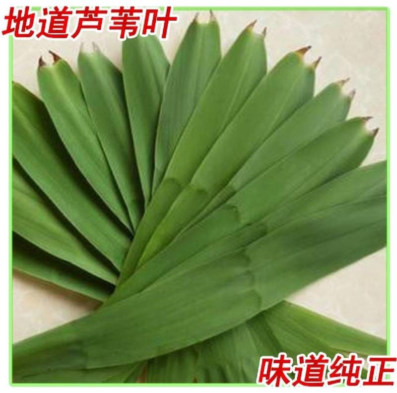 芦苇叶…湖南洞庭湖畔优质芦苇叶，当日现摘预冷发货