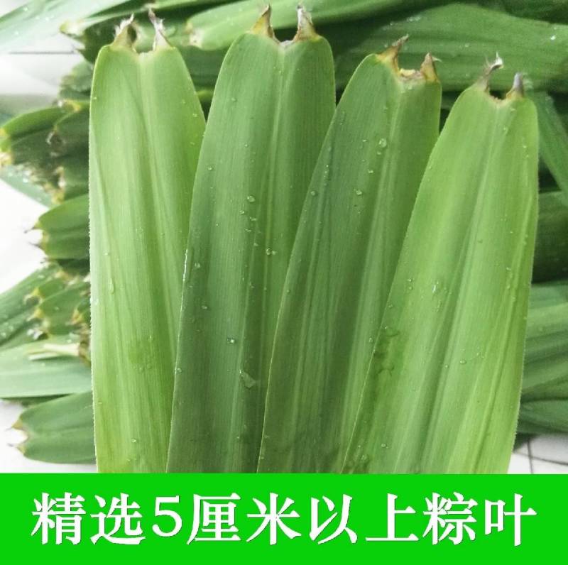 芦苇叶…湖南洞庭湖畔优质芦苇叶，当日现摘预冷发货