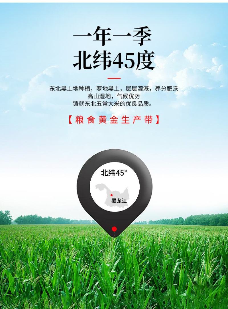 新米千垧地东北特产珍珠米2.5kg5斤产地直发五常大米
