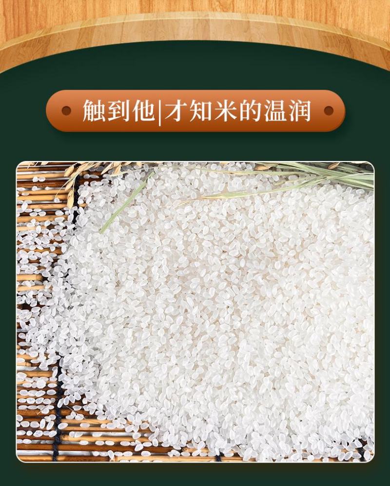 新米千垧地东北特产珍珠米2.5kg5斤产地直发五常大米