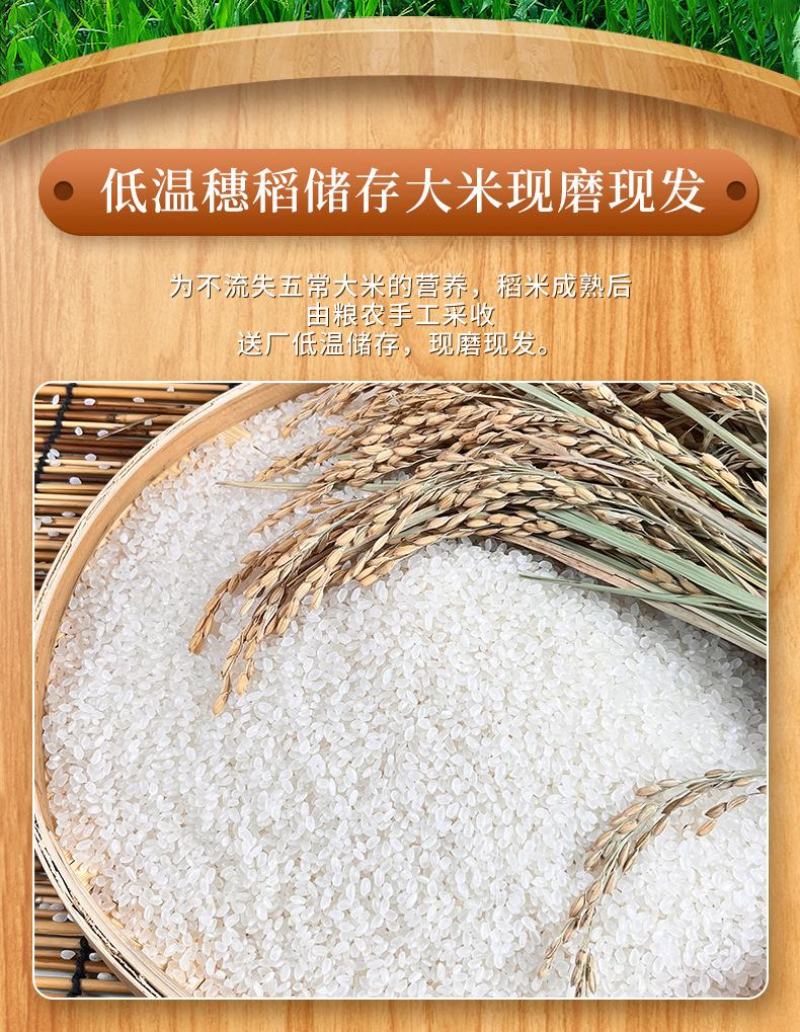 新米千垧地东北特产珍珠米2.5kg5斤产地直发五常大米