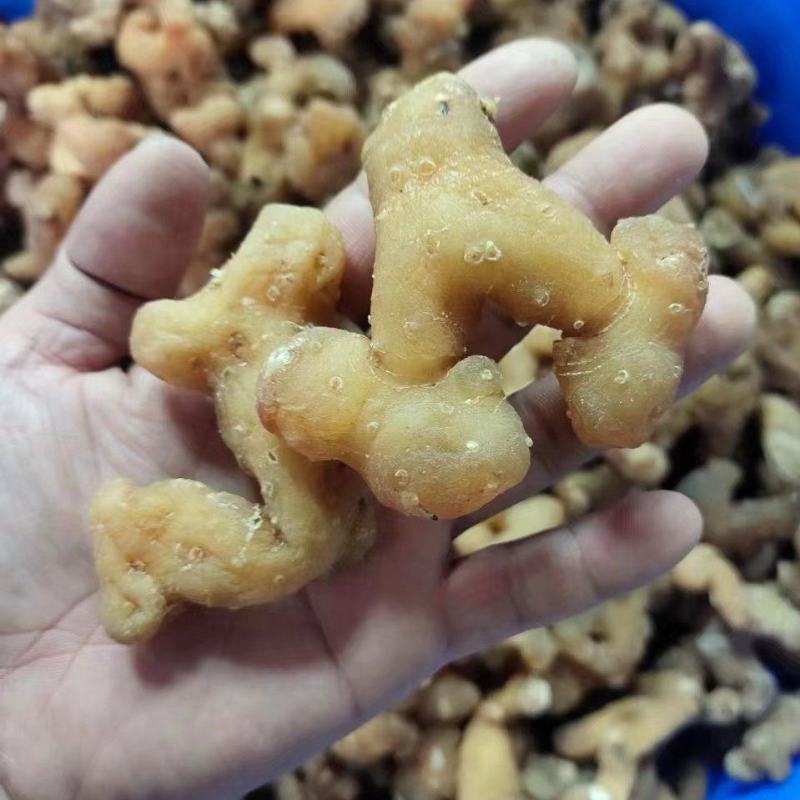 生黄精大个头全干，皮薄不厚售后无忧