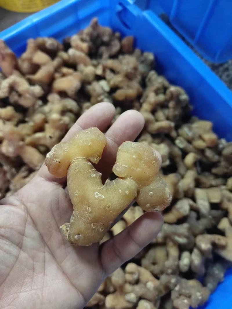 生黄精大个头全干，皮薄不厚售后无忧