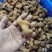 生黄精大个头全干，皮薄不厚售后无忧