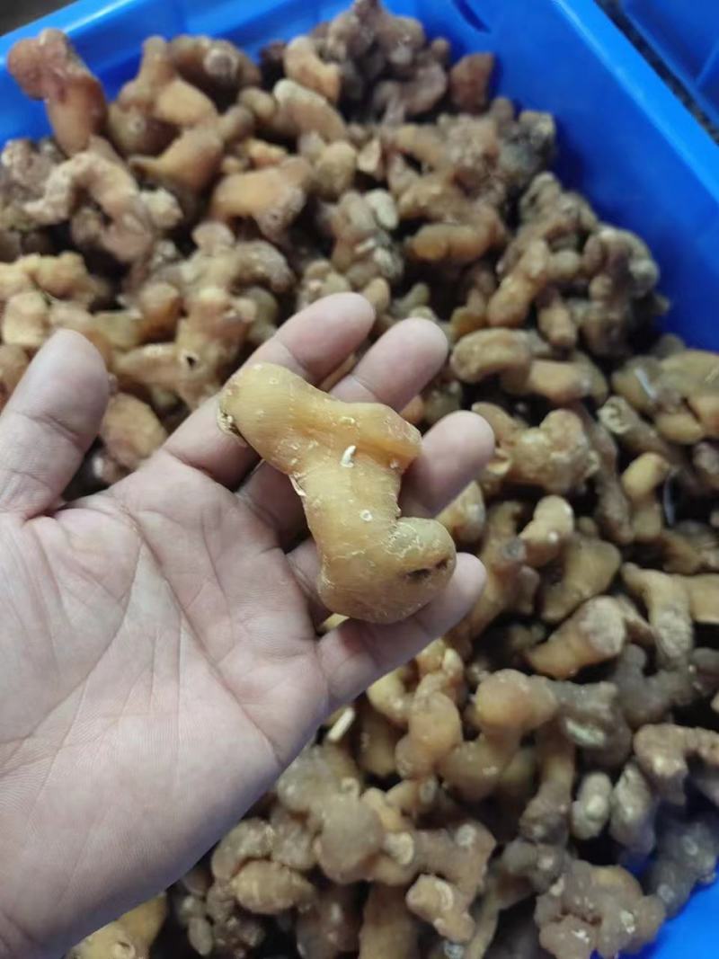 生黄精大个头全干，皮薄不厚售后无忧