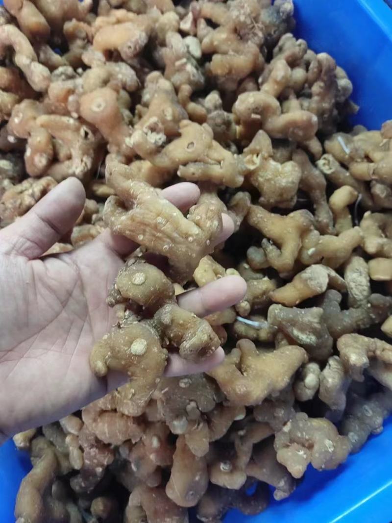 生黄精大个头全干，皮薄不厚售后无忧