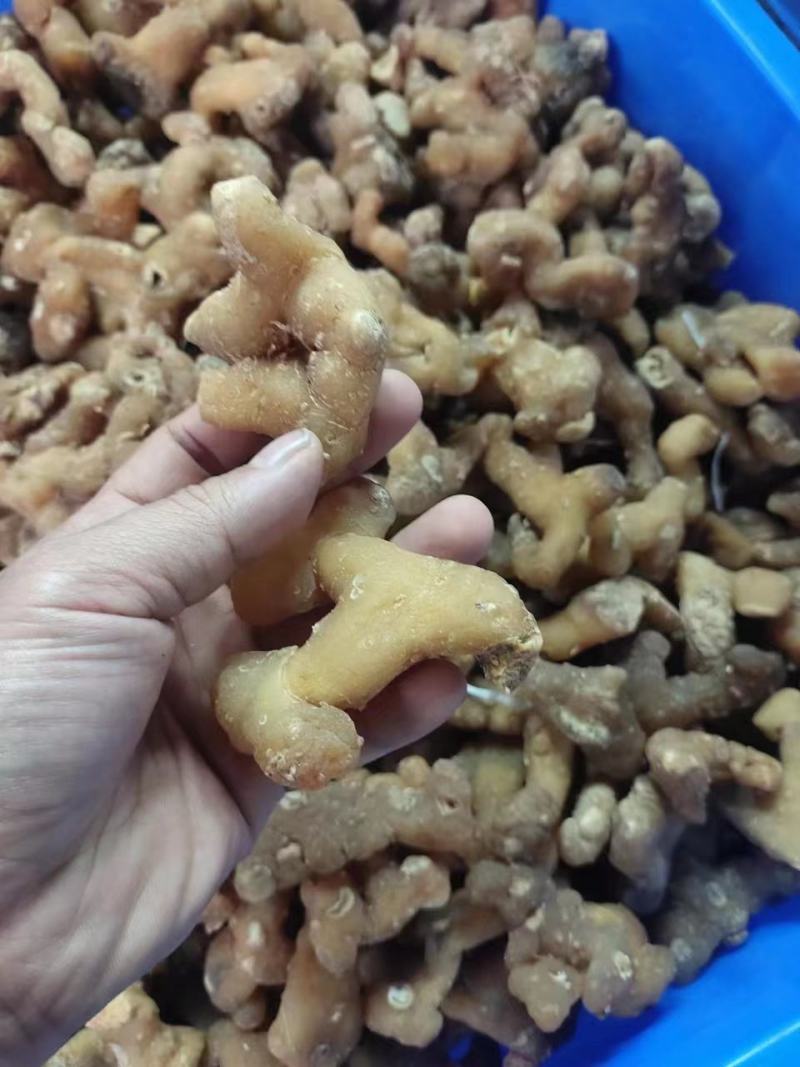 生黄精大个头全干，皮薄不厚售后无忧