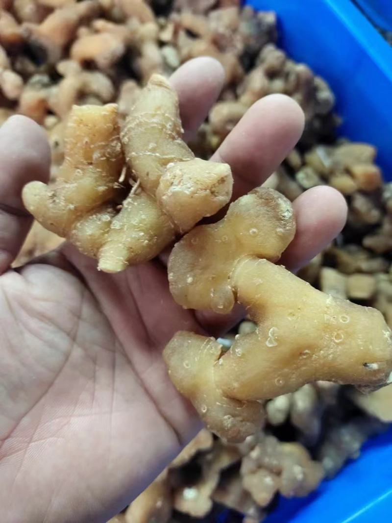 生黄精大个头全干，皮薄不厚售后无忧