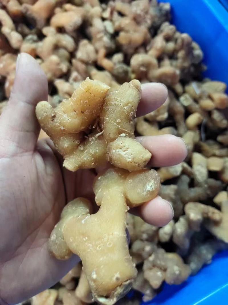 生黄精大个头全干，皮薄不厚售后无忧