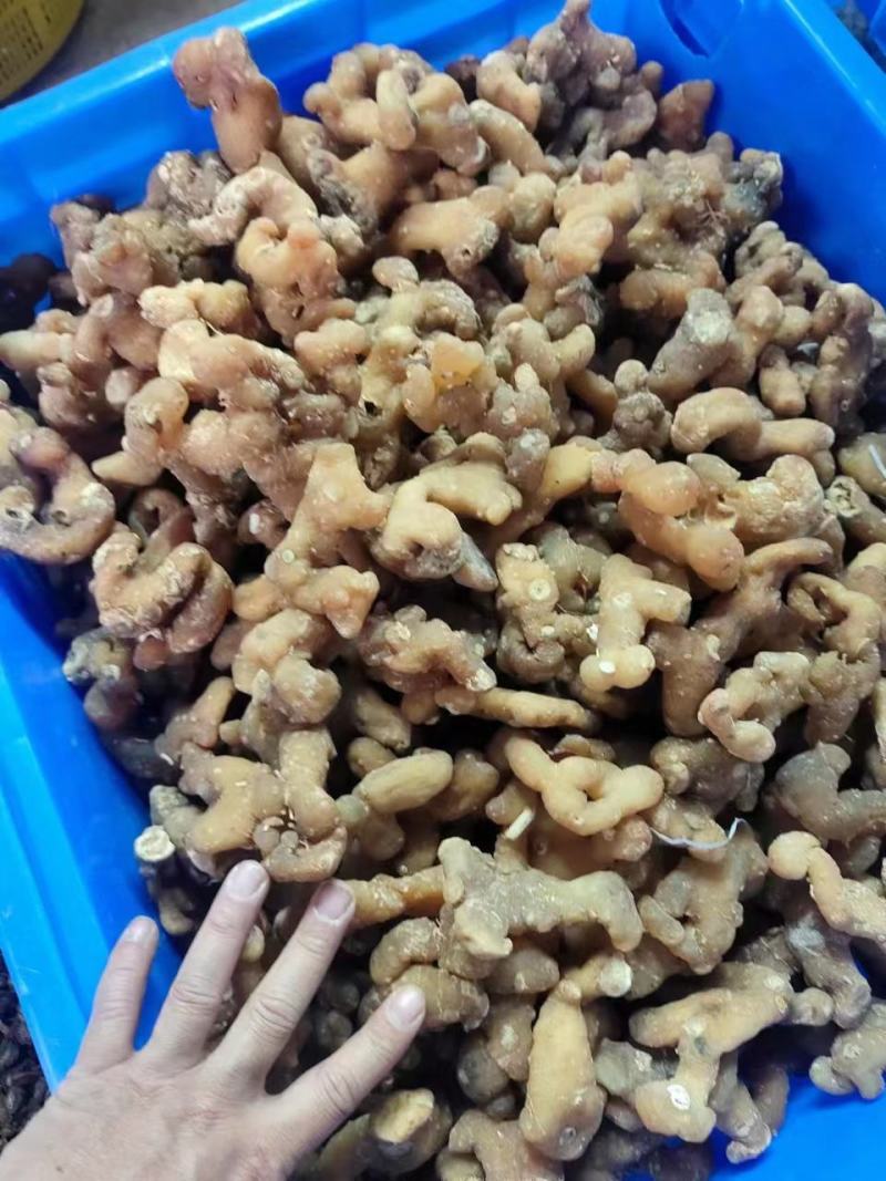 生黄精大个头全干，皮薄不厚售后无忧