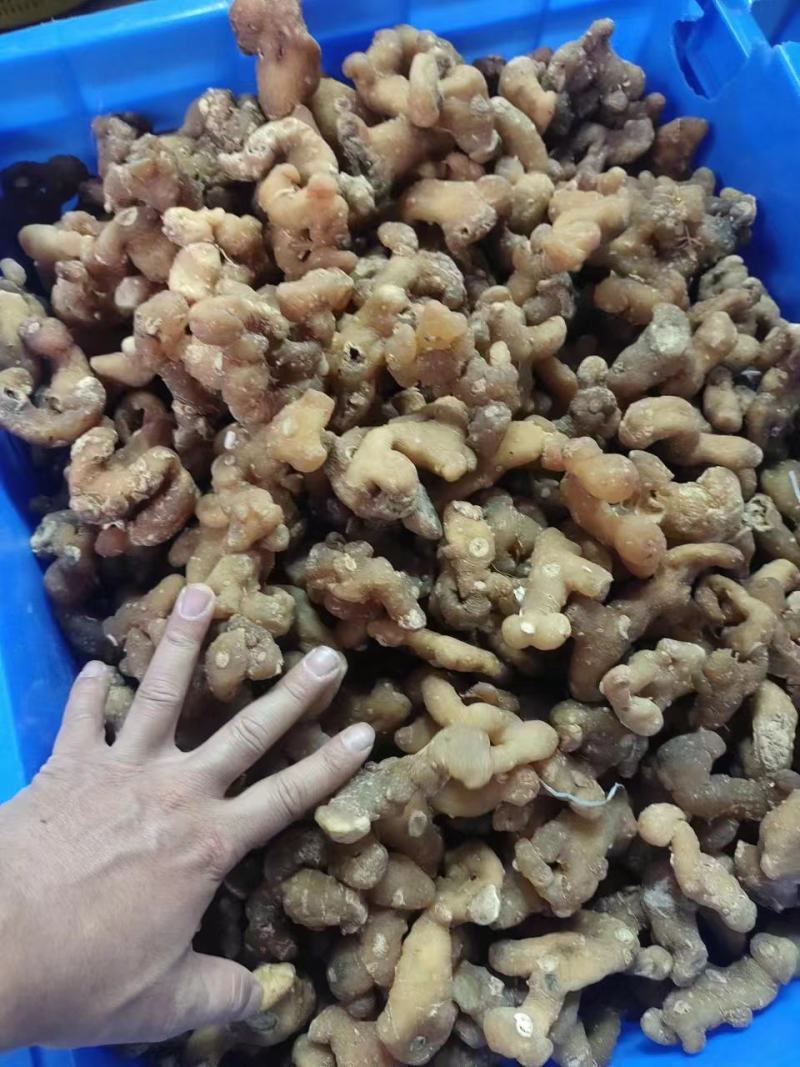 生黄精大个头全干，皮薄不厚售后无忧