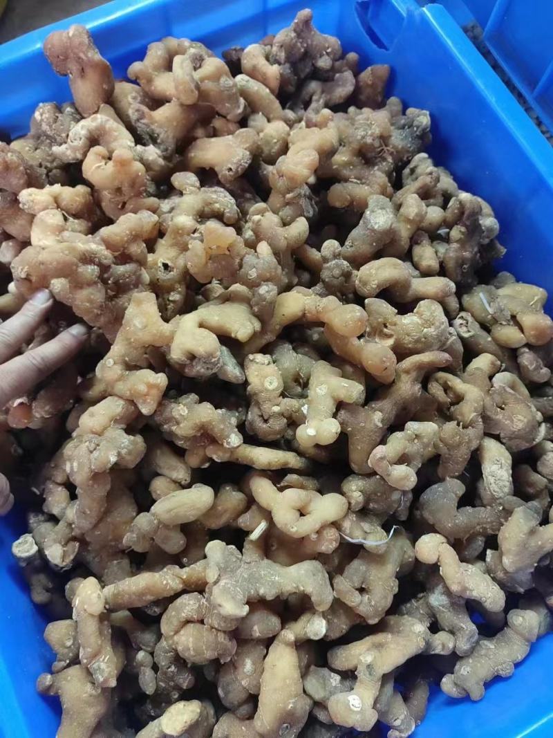生黄精大个头全干，皮薄不厚售后无忧