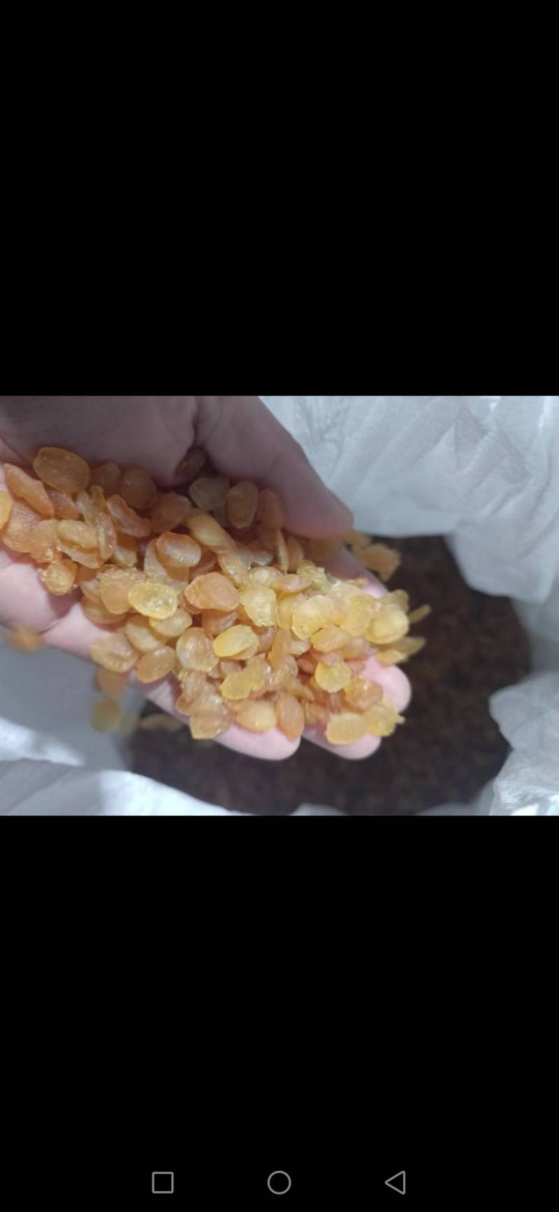 【推荐】皂角米产地一手货源批发零售量大价优
