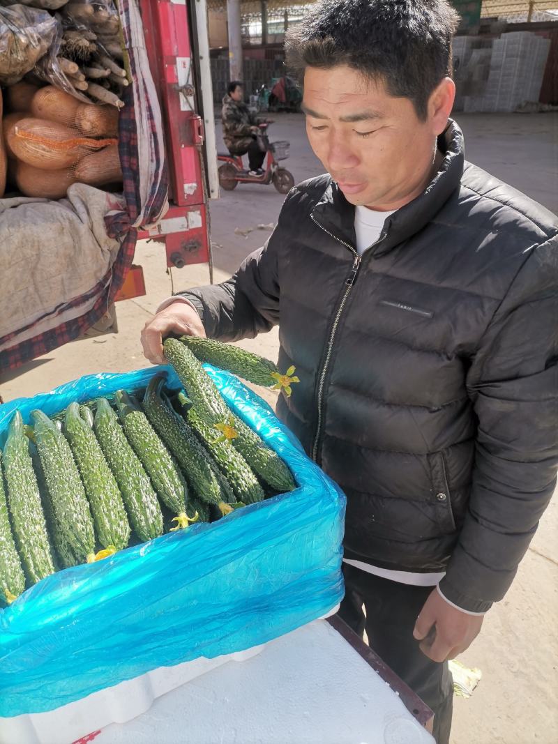 精品顶花带刺黄瓜